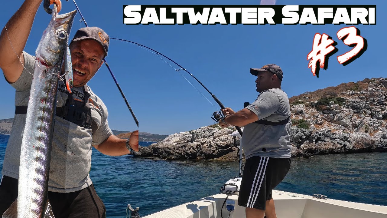 Saltwater Safari #3: BARRACUDAS in midday with Surface Lures and Stick  baits! 
