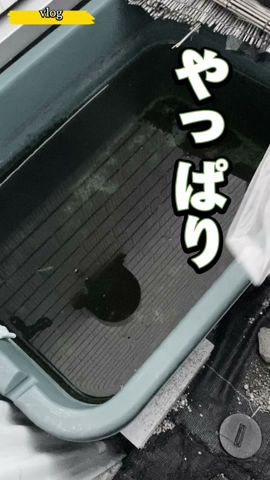 #メダカ#vlog