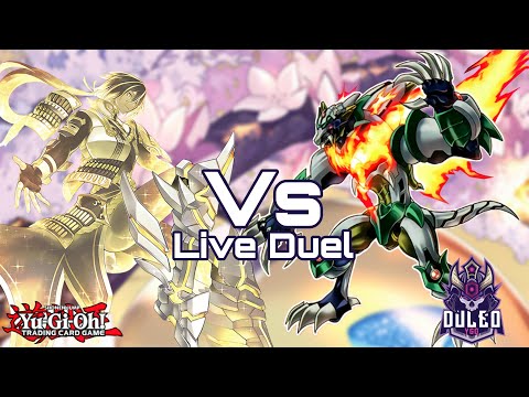 Sakazuki: Os Melhores Duelos de Yu-Gi-Oh!