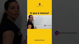 O que é Amina?