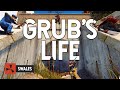 A GRUB'S LIFE - RUST