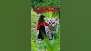 #ringtone #nadaderingtelepon #music #smartphone #song #ringtones #catlover #whowillbemylifepartner