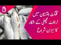 Trout fishing season starts in Gilgit-Baltistan - Aaj Sheher