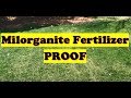 Grass Fertilizer Test PROOF!  |  Milorganite Fertilizer Results Before and After (LAWN CARE)