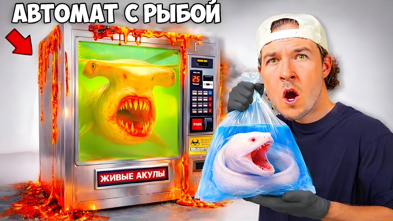 Я купил опасную рыбу в автомате по продаже живой рыбы...