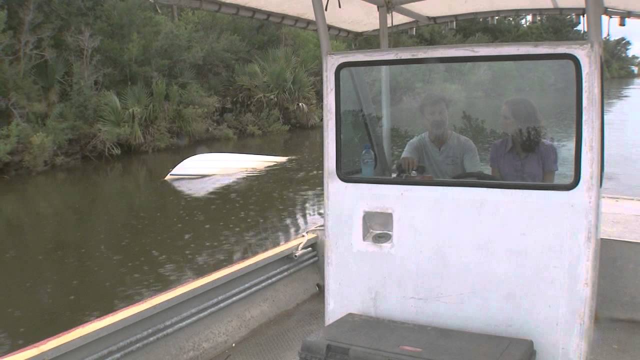 Underwater Hazards YouTube