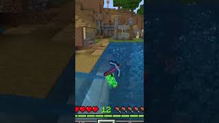 funny Minecraft skins