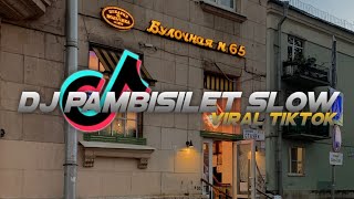 DJ PAMBISILET SLOW VIRAL TIKTOK DJ SLOW ( Teguh Palepi )