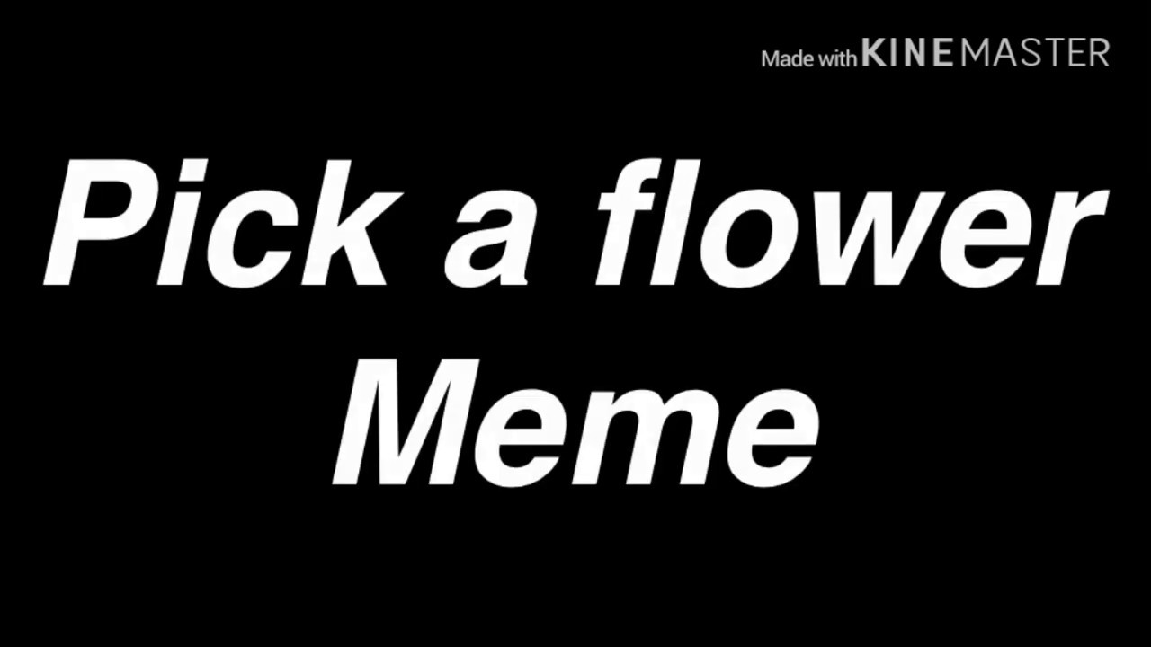 Pick a flower meme YouTube