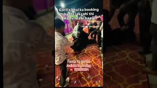 gorilla vs panda playing WWF in Event #gorilla #panda #wwf #wedding #party #catering #pandaparty