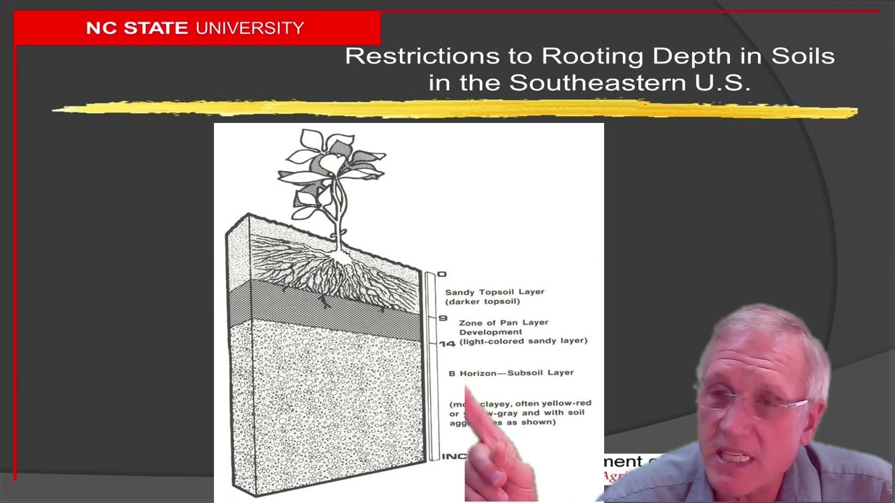Corn Lecture No 5   Water and Genetics
