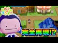 【ぽこあポケモン】#2 ぽこあでシンオウ地方は再現できるのか?