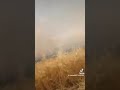 قرية الشيخ رحومة مركز طهطا محافظة سوهاج مافيش وحدة إطفاء بالمجلس القروي بالكامل حسبي الله قرية الشيخ رحومة مركز طهطا محافظة سوهاج مافيش وحدة إطفاء بالمجلس القروي بالكامل حسبي الله