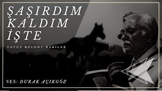 Yavuz Bülent Bâkiler | Şaşırdım Kaldım İşte Resimi