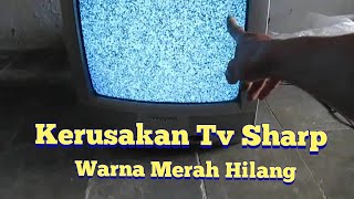 Sharp TV Damage, Red Color Disappears
