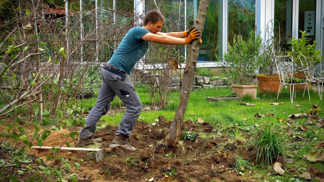 Land clearing for my new railway line! YouTube