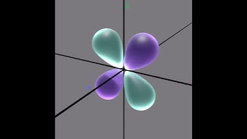 what does a dxz orbital look like?
