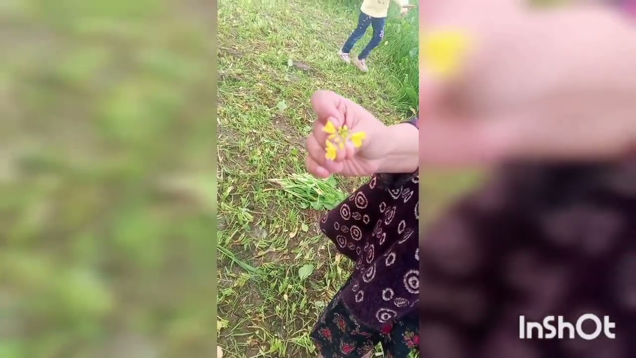 My First vlog Gao ki sair 