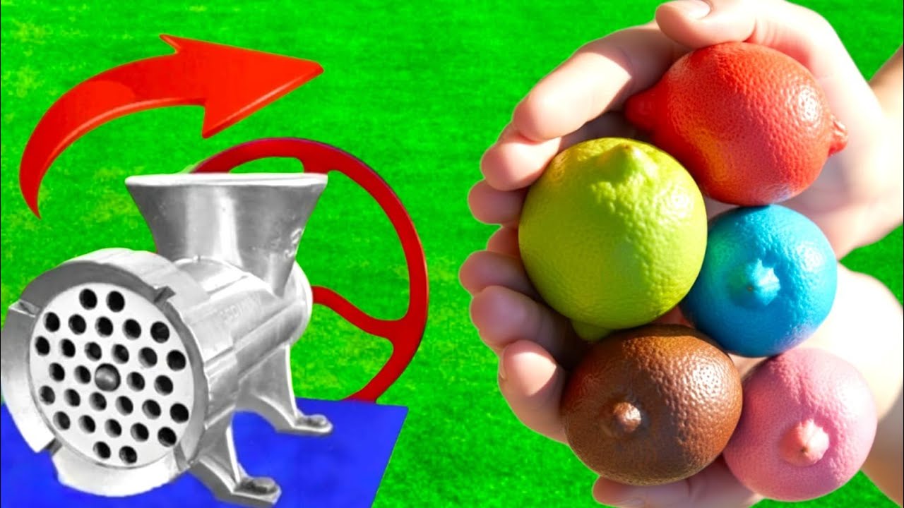 Limon LIMON,Rafadan Tayfa, Çizgi Film, TrtÇocuk, ibi ve tosi,Doru, Mașa ile Koca Ayl,Kafa Değiștirme