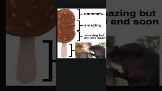 Ice Cream vs. Beaver: Hilarious Meltdown Meme Shorts! #memepage #funnymeme #betrayalmemes
