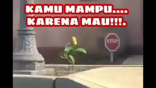 DIMANA ADA KEMAUAN DISITU ADA JALAN