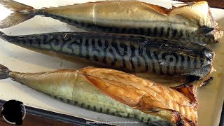 HOW TO SMOK FISH IN A HOT WAY, SO THAT THE SKIN DOES NOT BREAK - WE DISCOVER SECRETS & DISPELL MYTHS