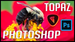 PHOTOSHOP AND TOPAZ PHOTO EDITING TUTORIAL: Full Edit of a Bee on Flower... screenshot 2
