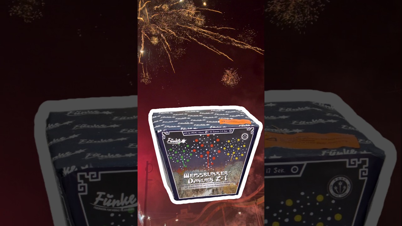 Funke Weissblinker-Dahlien Z-1 🎆😍 