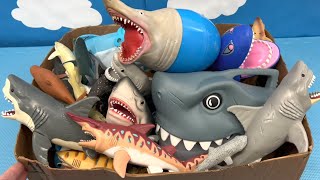 Shark Toys Collection for Kids