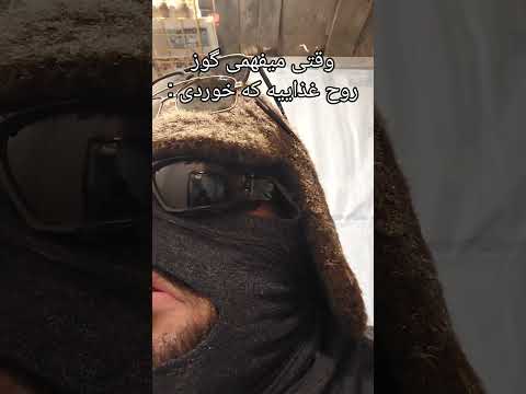 فهمیدم باد شکم روح غذاست تموم شدم Shorts Youtubeshorts Viral طنز ایرانی 