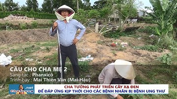 🎵 THÁNH CA LCTX: CẦU CHO CHA MẸ 2 - MAI THIÊN VÂN (MAI HẬU) | Cha Phêrô Nguyễn Văn Tường
