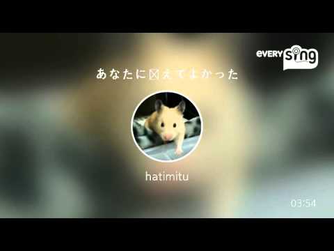 [everysing] あなたに会えてよかった