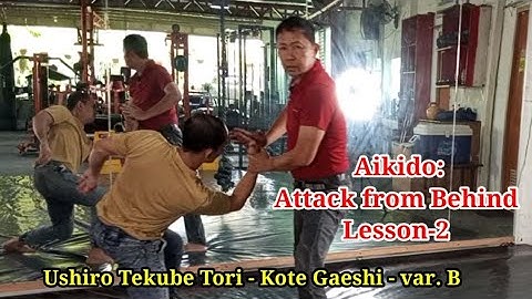 Aikido: Attack from Behind Lesson-2 | Ushiro Tekube Tori - Kote Gaeshi - var. B. Tutorial Video