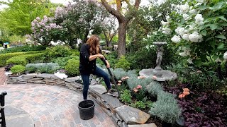 Planting up Our Kitchen Flowerbed! 🌿💜 // Garden Answer