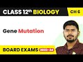 Class 12 Biology Chapter 6 | Gene Mutation - Molecular Basis of Inheritance