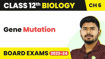 Class 12 Biology Chapter 6 | Gene Mutation - Molecular Basis of Inheritance (2022-23)