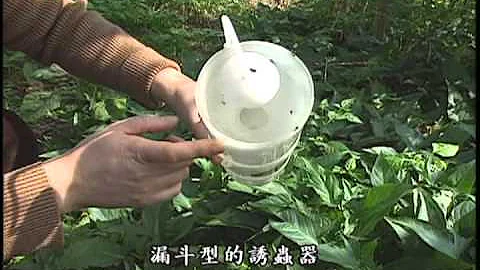我们的岛 第198集 农药新世界 (2003-03-10) - 天天要闻