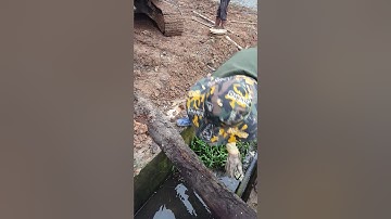 khoan cọc nhồi D600 xây nhà 4 tầng tại hải phòng