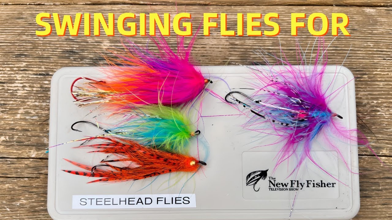 Swinging Flies for Great Lakes Steelhead 