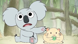 Nom Nom Vs. Hamster We Bare Bears Cartoon Network Asia