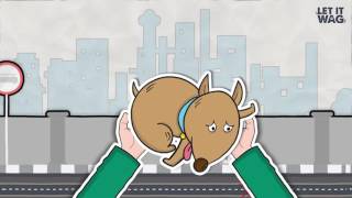 Let it Wag App screenshot 3