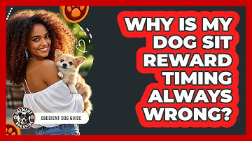 Why Is My Dog Sit Reward Timing Always Wrong? - Obedient Dog Guide