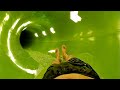 The Black Hole Waterslide at Center Parcs De Eemhof, Netherlands