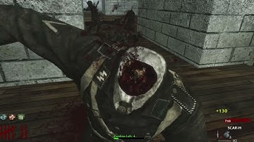 Call Of Duty World At War Custom Zombies "Tera Remake"