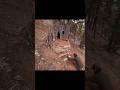 DANGEROUS TREEHOUSE⚠️😵 #treehouse #howdotheydoit #survivalskills #skills #survival #mountain #dmax