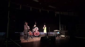 Tremolors (Brian Riordan with The Lop-sided Quartet at STEIM, Amsterdam)