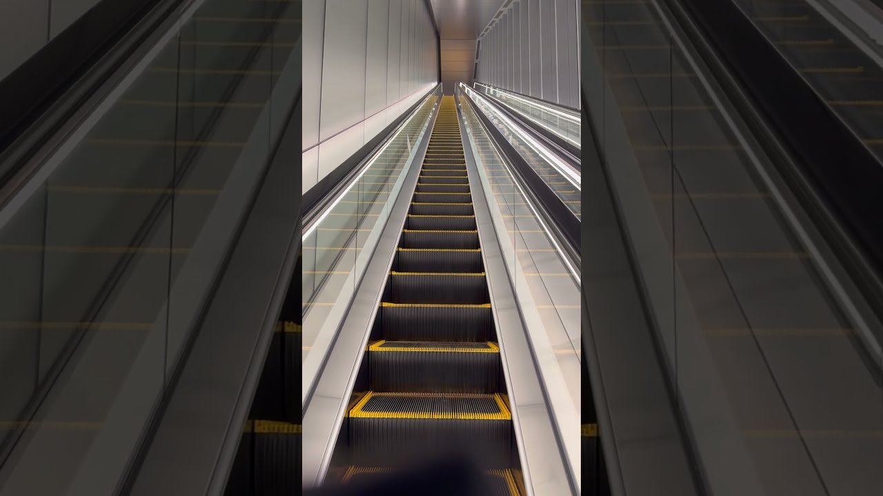 邦楽 0188 escalator records, tokyo Escalator Records, Tokyo - (Cubismo Grafico, Losfeld, Yukari
