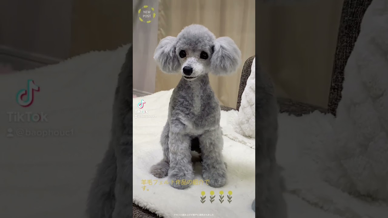 羊毛フェルトさささ様確認用チワックス犬ハンドメイドオーダー