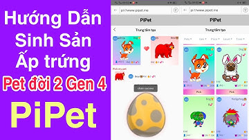 Hướng dẫn sinh sản ấp trứng pet đời 2 gen 4 trong pipet game NFT của hệ sinh thái pi network