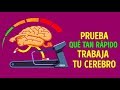 Test de tiempo de reacción: ¿qué tan rápido es tu cerebro?